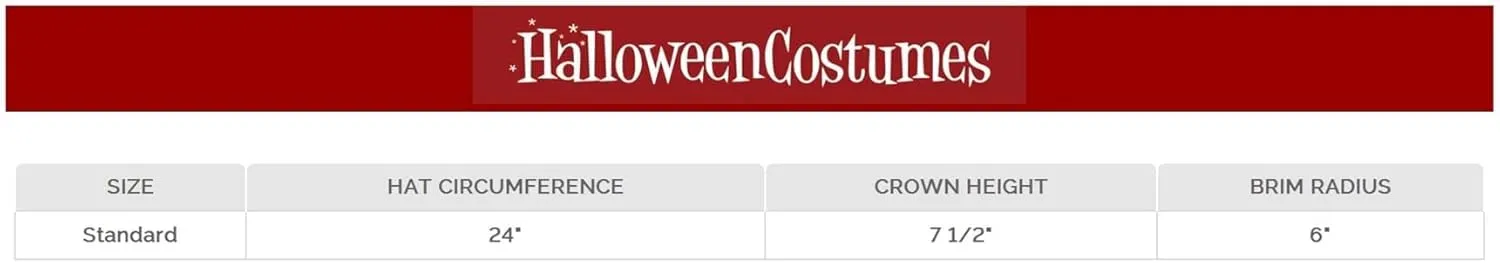 Rubie's Costume Co Embroidered Straw Sombrero Costume